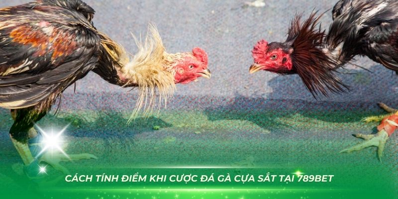 Cách tính điểm khi cược đá gà cựa sắt tại 789Bet